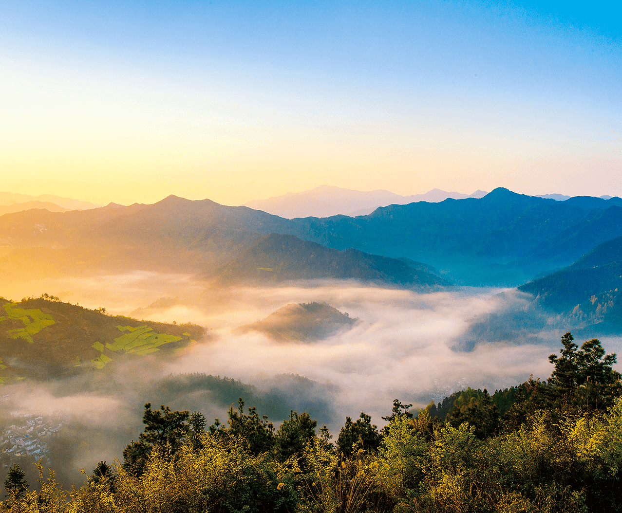 CA88(中国区)有限公司 - 官方网站