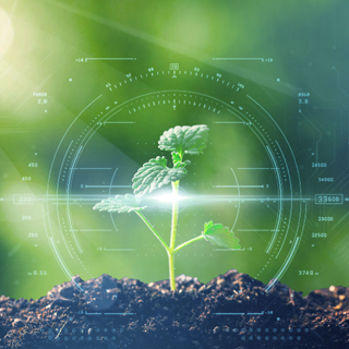 CA88(中国区)有限公司 - 官方网站