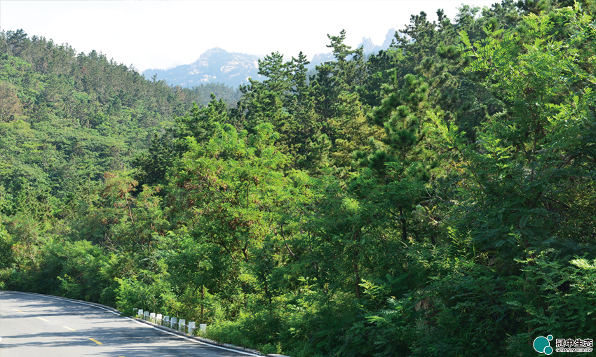 CA88(中国区)有限公司 - 官方网站