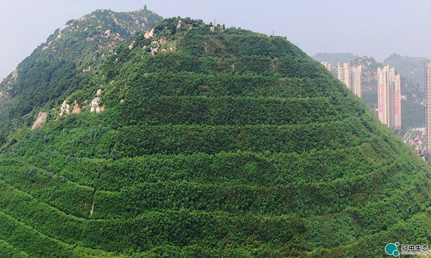 CA88(中国区)有限公司 - 官方网站