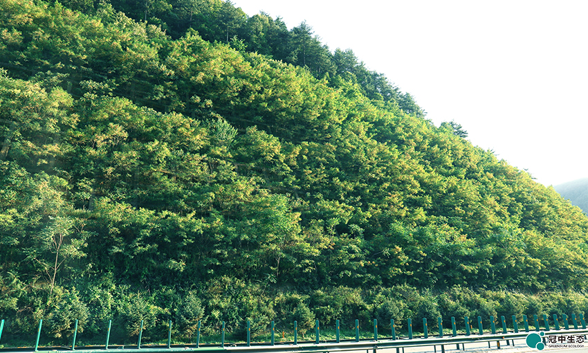 CA88(中国区)有限公司 - 官方网站