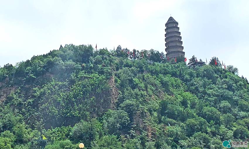 CA88(中国区)有限公司 - 官方网站