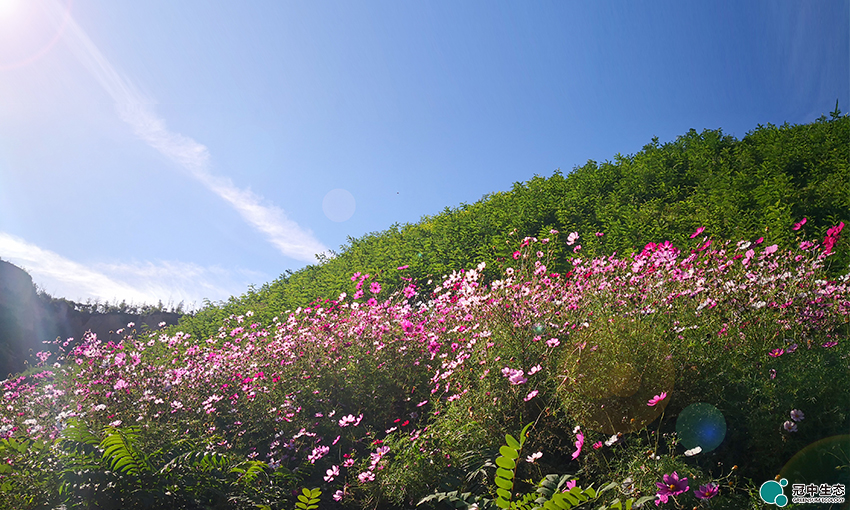 CA88(中国区)有限公司 - 官方网站