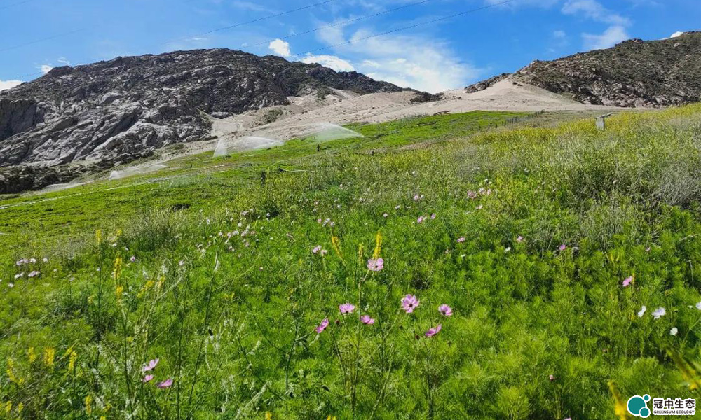 CA88(中国区)有限公司 - 官方网站