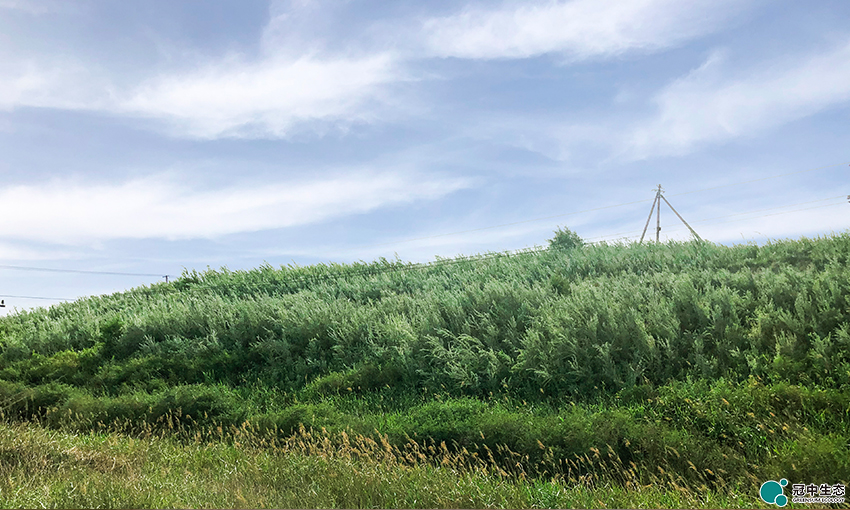 CA88(中国区)有限公司 - 官方网站