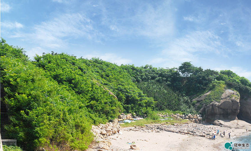 CA88(中国区)有限公司 - 官方网站