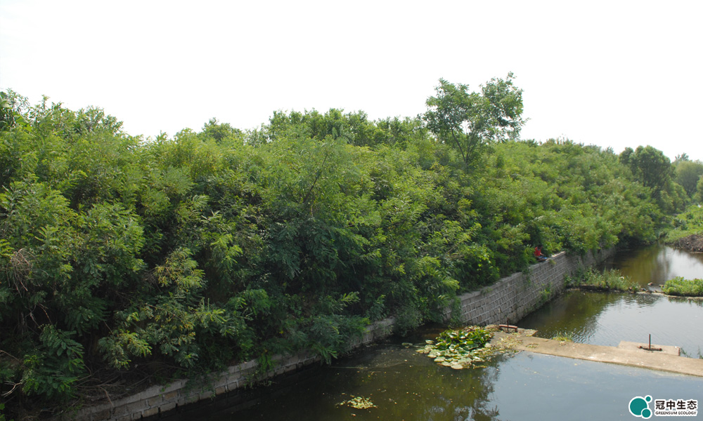 CA88(中国区)有限公司 - 官方网站