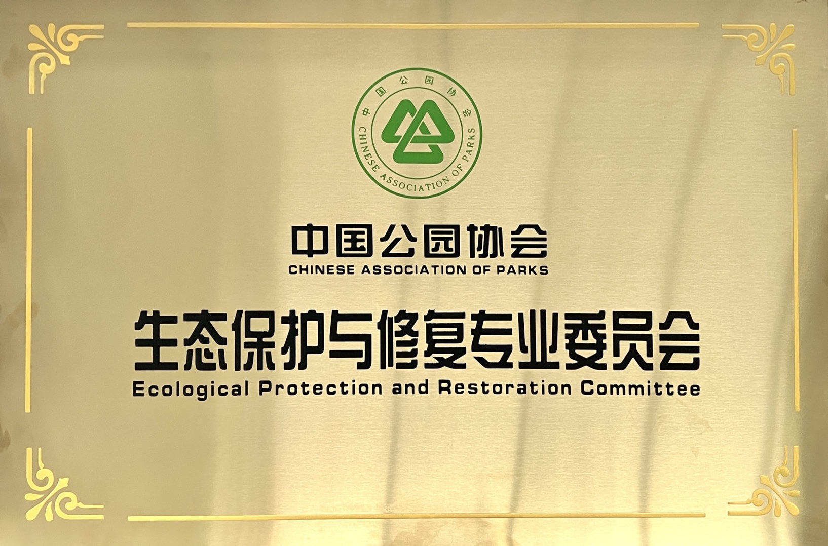 CA88(中国区)有限公司 - 官方网站